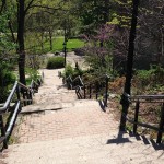 Stairs to Cruickshank Park